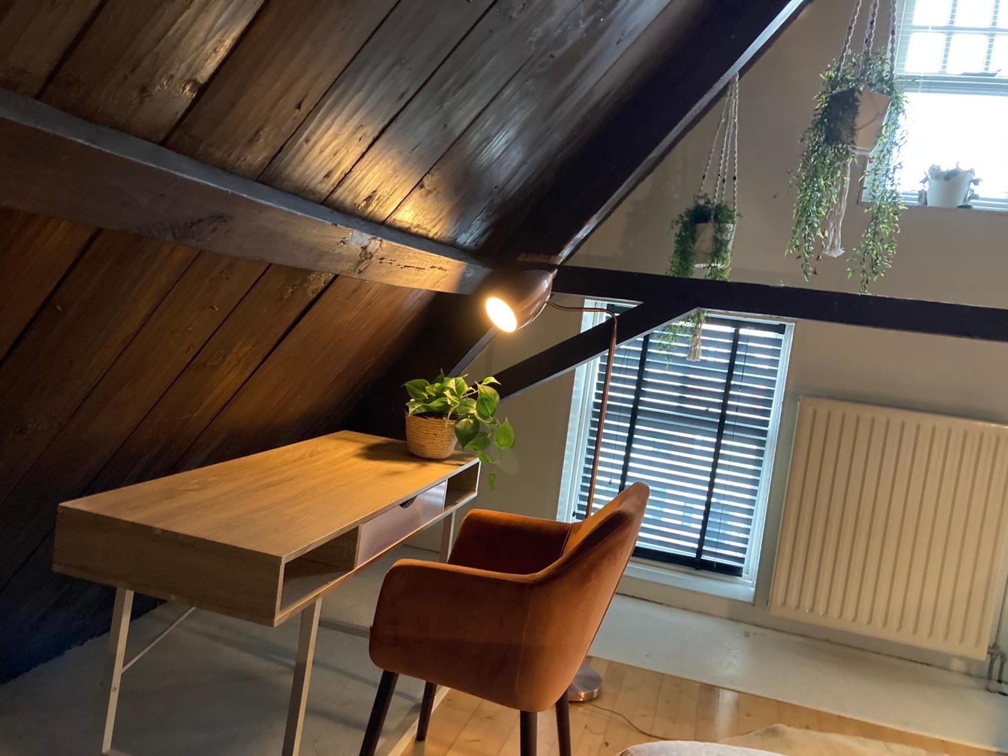 Elegant Appartement In Pakhuis Friesland Centrum Леэварден Экстерьер фото